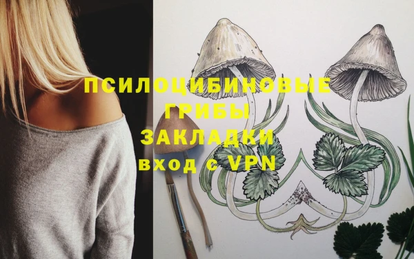 гидра Абинск