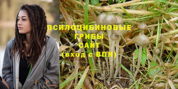 амф Россошь